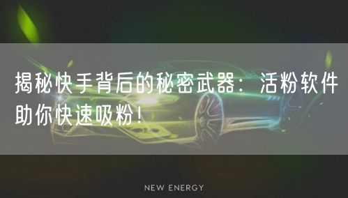 揭秘快手背后的秘密武器：活粉软件助你快速吸粉！