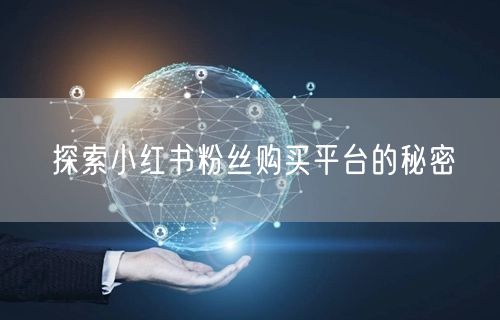 探索小红书粉丝购买平台的秘密