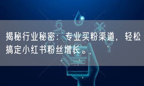揭秘行业秘密：专业买粉渠道，轻松搞定小红书粉丝增长。
