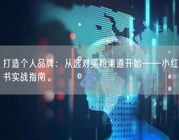打造个人品牌：从选对买粉渠道开始——小红书实战指南。