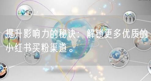提升影响力的秘诀：解锁更多优质的小红书买粉渠道。