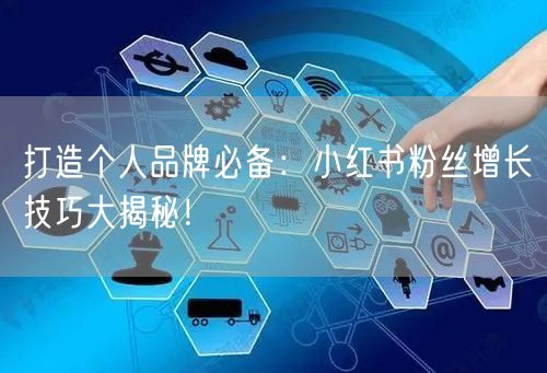 打造个人品牌必备：小红书粉丝增长技巧大揭秘！