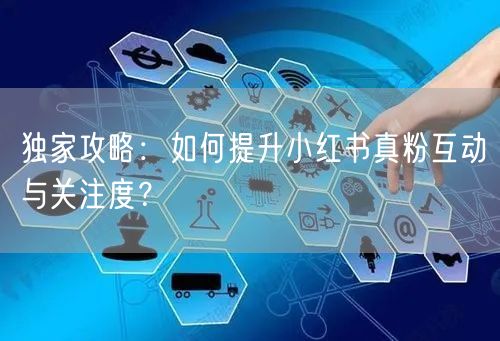 独家攻略：如何提升小红书真粉互动与关注度？