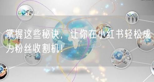 掌握这些秘诀，让你在小红书轻松成为粉丝收割机！