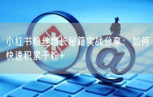 小红书粉丝增长秘籍实战分享：如何快速积累千粉+