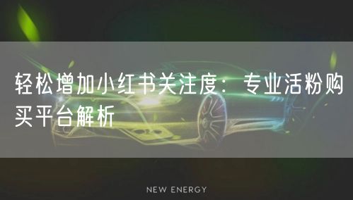 轻松增加小红书关注度：专业活粉购买平台解析