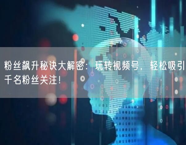 粉丝飙升秘诀大解密：玩转视频号，轻松吸引千名粉丝关注！