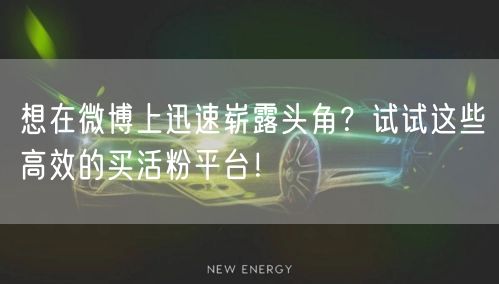 想在微博上迅速崭露头角？试试这些高效的买活粉平台！