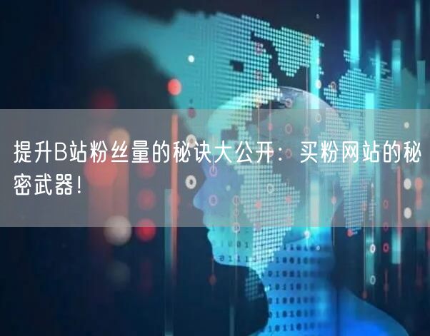 提升B站粉丝量的秘诀大公开：买粉网站的秘密武器！