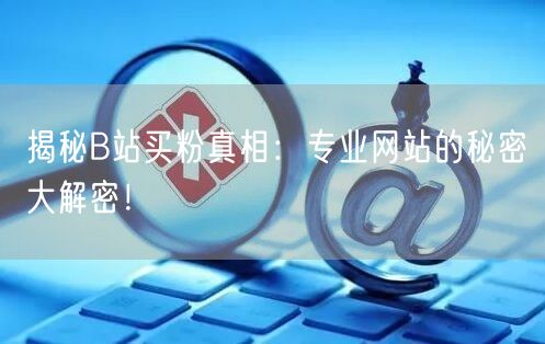 揭秘B站买粉真相：专业网站的秘密大解密！