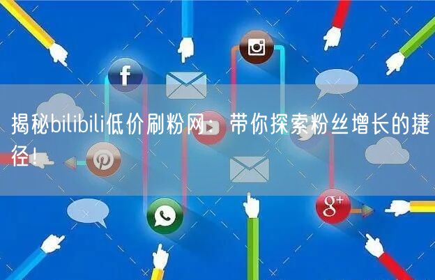 揭秘bilibili低价刷粉网：带你探索粉丝增长的捷径！