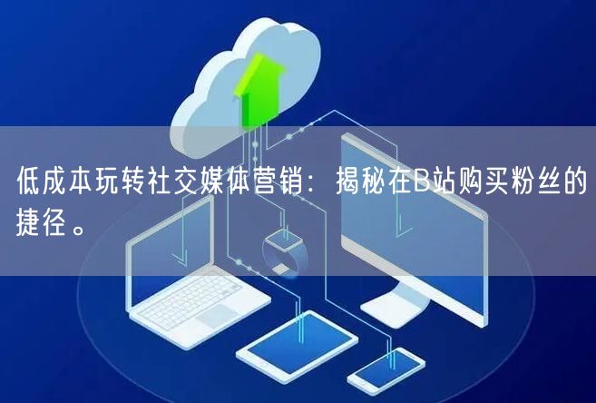 低成本玩转社交媒体营销：揭秘在B站购买粉丝的捷径。