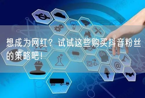 想成为网红？试试这些购买抖音粉丝的策略吧