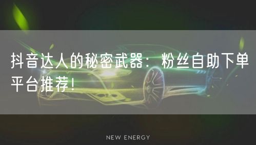抖音达人的秘密武器：粉丝自助下单平台推荐！