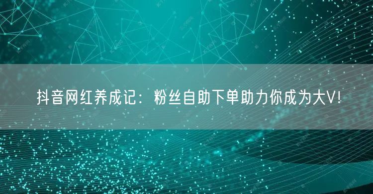 抖音网红养成记：粉丝自助下单助力你成为大V！