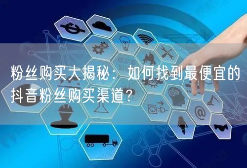 粉丝购买大揭秘：如何找到最便宜的抖音粉丝