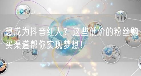 想成为抖音红人？这些低价的粉丝购买渠道帮